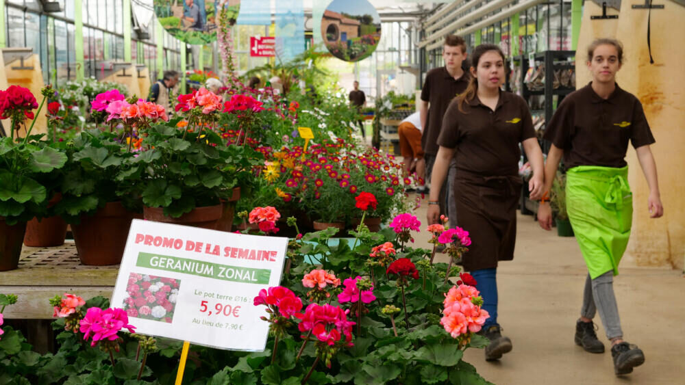 Bac Professionnel Technicien Conseil Vente Univers Jardinerie