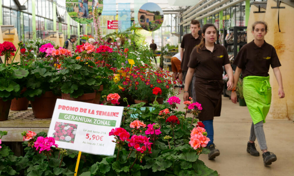 Bac Pro technicien Conseil Univers Jardinerie